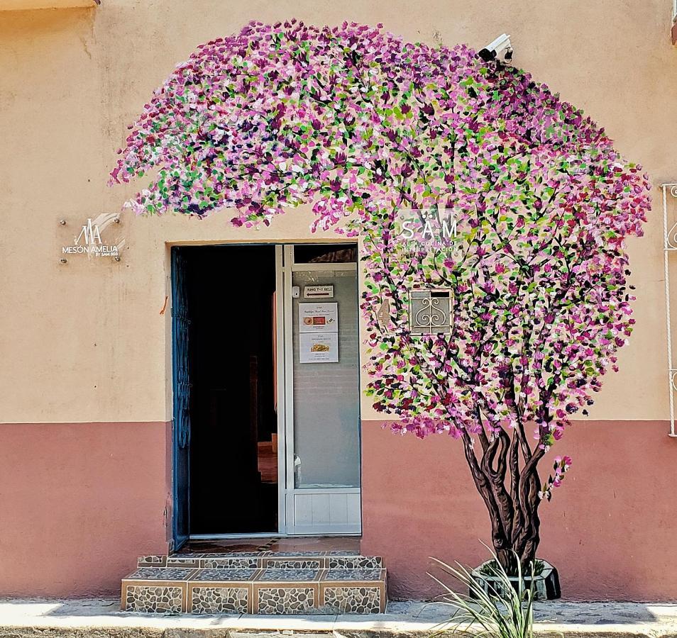 Meson Amelia Hotel San Miguel de Allende Exterior photo